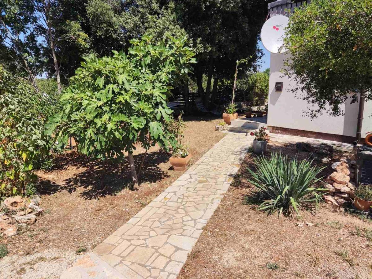 Ferienwohnung Viva 2 Rovinj Exterior foto